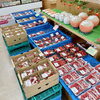 「南信州産『アスパラガス』入荷しました！農産物直売所」