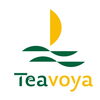 飲食店の一杯を支える台湾茶。「Teavoya（嘉柏茶業）」がCafeRes Japan 2026に出展