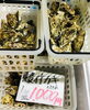 「魚魚市場鮮魚コーナーおすすめは「ミノカサゴ・殻付きカキ」です♪」