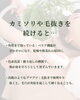 「『毎日剃るのが当たり前』になっていませんか？【宮崎 ひなたまちのサロンlihi】」