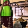 ばくれん