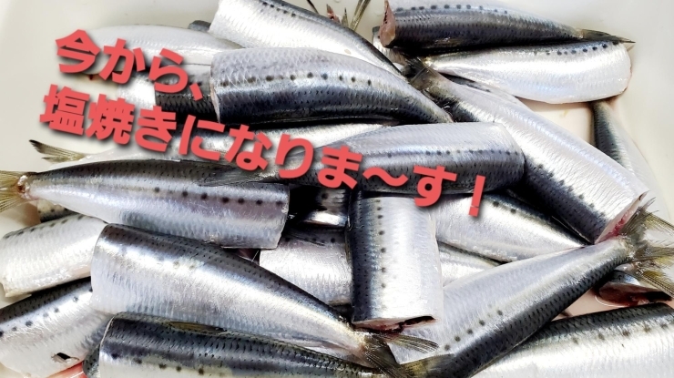 「金曜限定！！お魚好きな方のためのお惣菜！！」