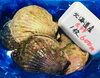「魚魚市場鮮魚コーナーおすすめは「北海道産ホタテ」です♪」