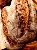 「マイナーチェンジでより美味しく「パン・ド・カンパーニュ」」
