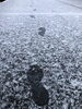 今朝の雪景色「今朝はうっすらと雪化粧です」