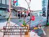 「毎年2月11日開催！魚沼三大奇祭のひとつ、雪中花水祝。」