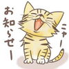 「買取専門店大吉　佐世保店より　　　　　　　　　～年末年始営業日のお知らせ～」
