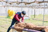 「【西条市丹原町高松】整体院 仁-JIN-さんが2021年12月21日(火)で1周年！」
