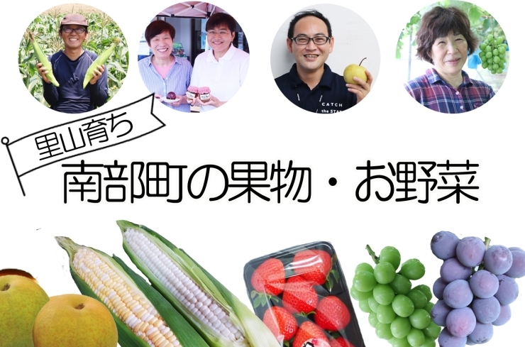 鳥取県南部町ふるさと納税【旬の果物・野菜を先どり♪先行予約受付中