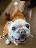 「Merry  Xmas（＾Ｏ＾☆♪」