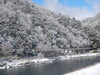 「12/26（日）の雪の様子」