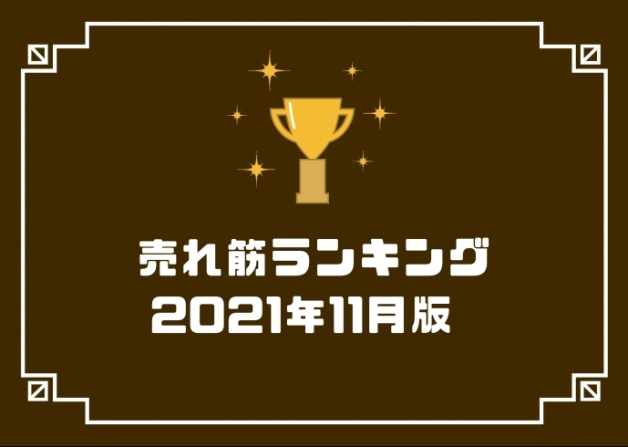 「11月の人気売れ筋ランキング大公開！！」