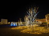 「【西条市 朔日市】いとまちマルシェのイルミネーション♪」