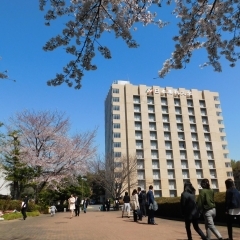 桜色に染まるさいたまキャンパスで入学式が挙行されました！