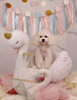 Happy birthday　チップくん「Anniversary photo　(^O^)／」
