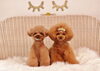 左／ＳＵＢくん   右／ポワンくん「Anniversary photo　(^O^)／」