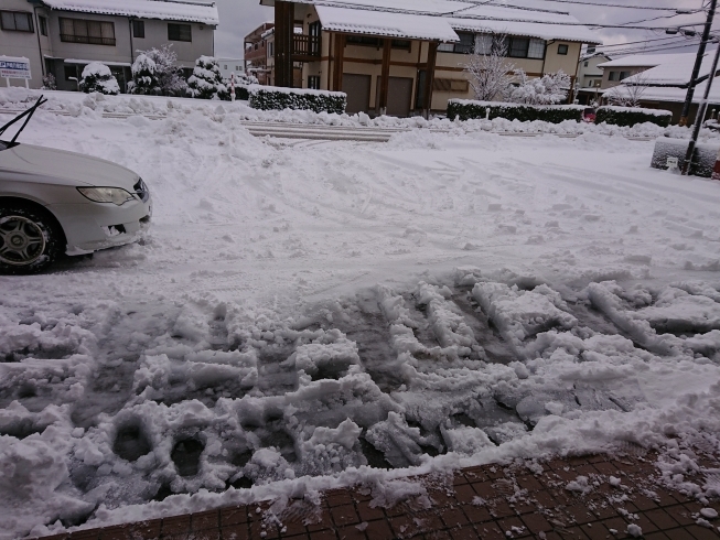 駐車場の除雪「本日、最後の営業」