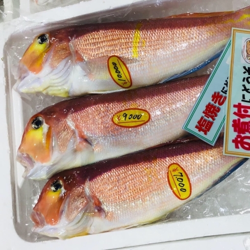 「魚魚市場鮮魚コーナーおすすめは「甘鯛・天然ぶり・天然ヒラス」です♪」