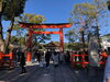 「【編集部ニュース】『今年は五黄の寅年』｢初詣｣と｢五黄の寅年｣の由来について＠京ちゃん日記」