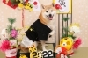 新年あけましておめでとうございます！「新年のご挨拶と１月のお休み案内」