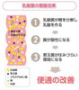 乳酸菌の働き「スポーツ現場でチーム帯同してたトレーナーからのダイエット②！！【ボディメイク/ダイエット/パーソナルジム/安心安全/三越前駅徒歩2分】」
