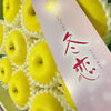 「新春お年玉企画で「プレミアム冬恋」販売中ですよ～♪♪」
