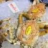 「魚魚市場鮮魚コーナーおすすめは「タカアシガニ」です♪」