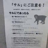 えっ！　サルにご注意！！！