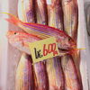 「魚魚市場鮮魚コーナーおすすめ商品は「イサキ・イトヨリ」です♪」