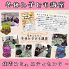 12/26に開催されました「♪住吉コミュニティセンターでの冬休み講座♪」