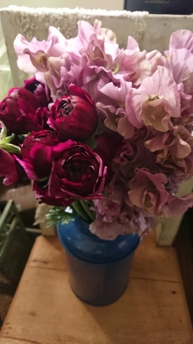 アネモネ ラナンキュラス チューリップ アンティークカラーの個性的なお花など 入荷しました Flower Shop Naran ナラン のニュース まいぷれ 出雲
