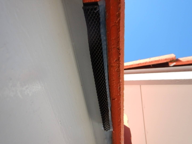 屋根の部材の隙間に入るコウモリ対策「屋根部分のコウモリ対策」