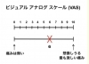 「痛みのスケール(定規)は２段階！？」