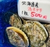 「魚魚市場鮮魚コーナーおすすめは「北海道産活ホタテ」です♪」