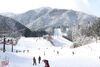 「本日1月15日のゲレンデ写真になります。」