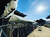 「明日1/16は初えびす大祭です」