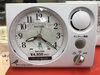 ＣＩＴＩＺＥＮ　日本野鳥の会共同開発「野鳥の声で　心地よい目覚めを！」