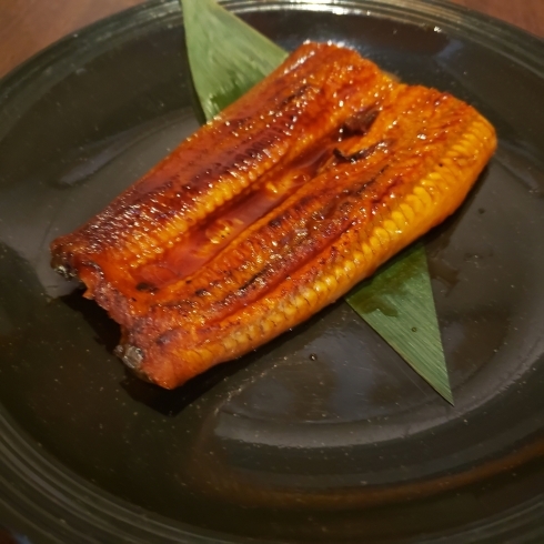 おでん屋さんですが実は鰻もあります 海鮮千葉料理 おでんでんでん千葉中央店のニュース まいぷれ 千葉市中央区