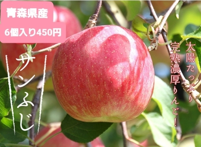青森県リンゴ農家さんより直売‼️サンふじお買い得「太陽のひかりをた〜ぷ〜っり浴びた林檎⭐サンふじ⭐大府市/野菜直売」