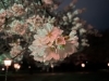image.php?id=