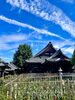 風鈴まつり「本日の境内の様子です」