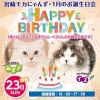 お誕生日会のお知らせ 宮崎ナナイロ メガドンキ にある猫カフェ 漫画 ドリンクバー ワークプレイス 猫カフェmocha モカ のニュース まいぷれ 宮崎