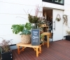 見つけた 日々の暮らしがちょっと素敵に 楽しくなるお店 瑞江 Flower Shop Cappuccino カプチーノ Break Timeのニュース まいぷれ 江戸川区