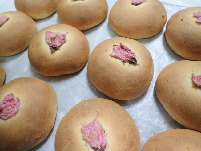 桜餡のアンパン饅頭「あんぱん饅頭　まるであんパンのようなフワモチ触感の焼きまんじゅう！！」