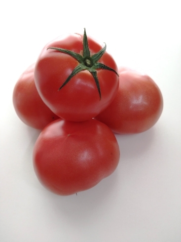 大玉トマトです！思わず噛り付きたくなりますね！「三須トマト農園様のトマトを提供しました。」