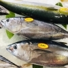 「魚魚市場鮮魚コーナーおすすめは「シビマグロ・アマダイ」です♪」