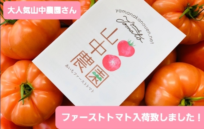 今年も大人気⭐ファーストトマト⭐リコピンたっぷり「⭐大人気⭐山中農園さんのファーストトマト‼️大府市/野菜直売」