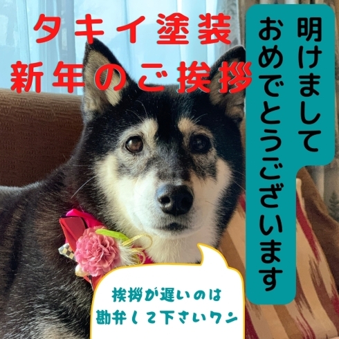 新年は豪華なチョーカーを付けてもらったよ「技能功労賞と新年のご挨拶（大分遅いけど。。）」