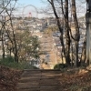 「せせらぎと緑の散歩道」