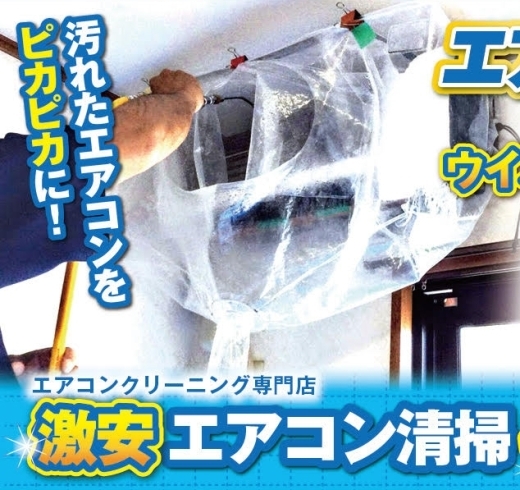 最安値のエアコン清掃専門店「実は「エアコン」が花粉症対策に効果的です！ 室内の花粉を除去するには、エアコン清掃が必須です！！  国民の生活病にもなりつつある”花粉症”。 」